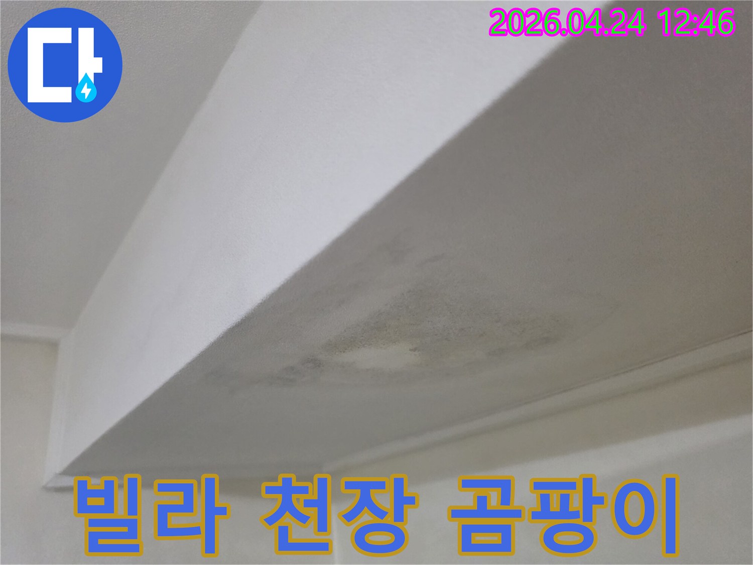 빌라 천장에 발생한 곰팡이와 물자국-누수 해결 전문가가 현장을 진단하는 사진