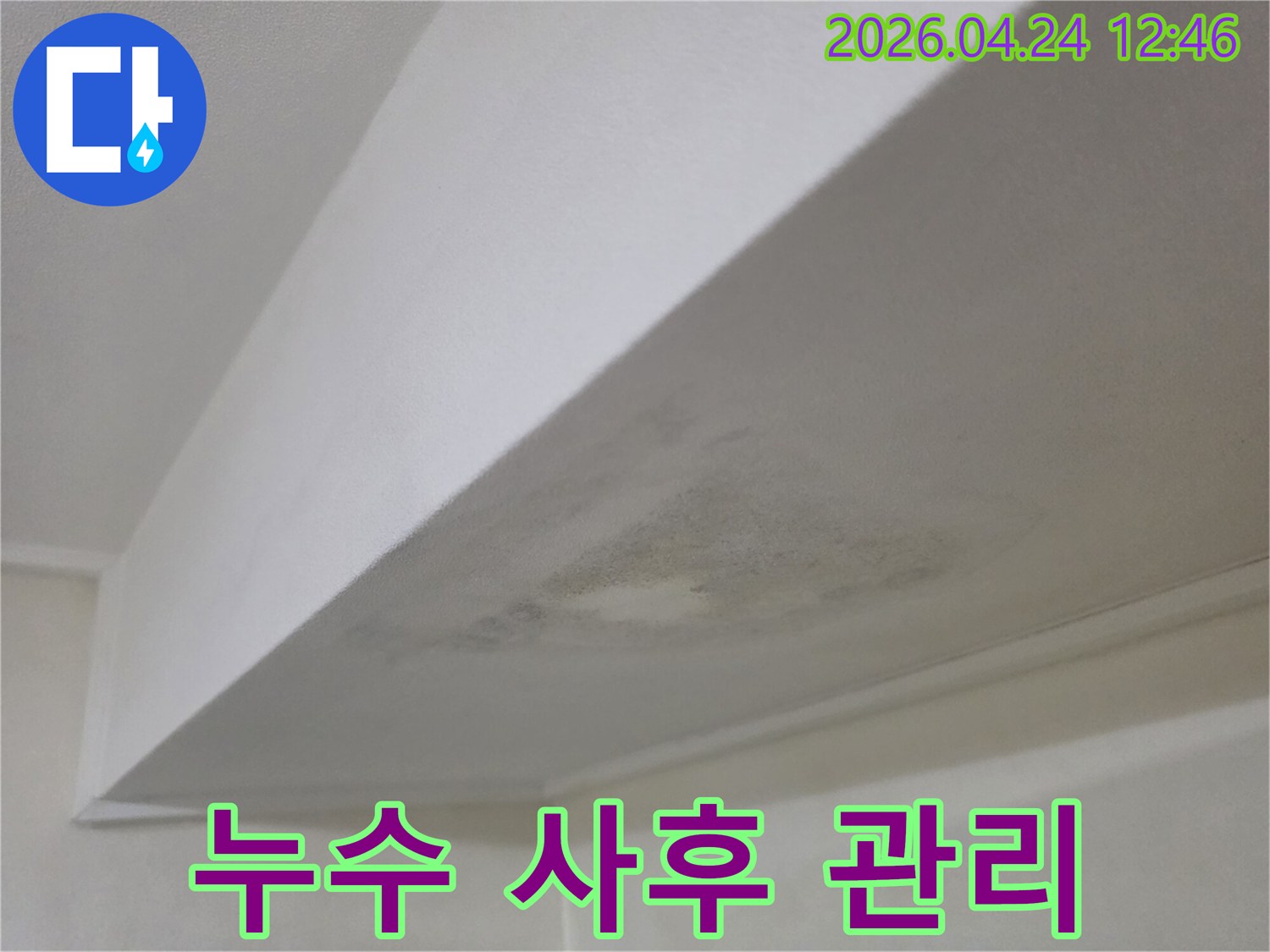천장에 발생한 누수 흔적과 곰팡이-꼼꼼한 사후 관리를 위한 전문가의 현장 진단 사진
