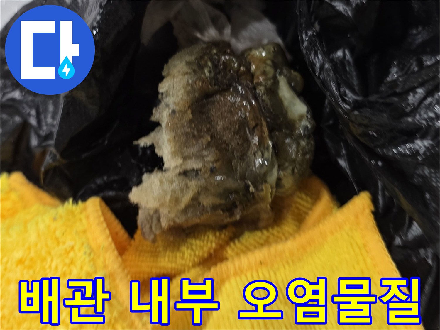 비닐봉투에 담긴-배관에서 나온 거대한 슬러지 덩어리