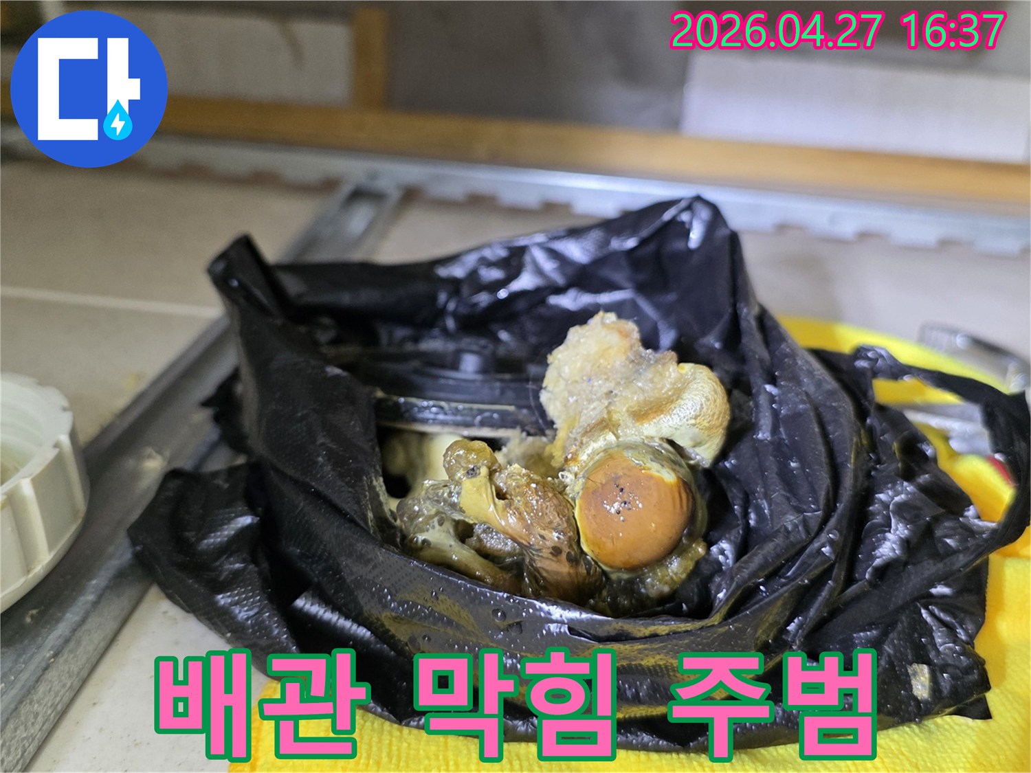 오랜-시간-축적된-하수구-배관-내부의-심각한-오염물질을-보여줍니다
