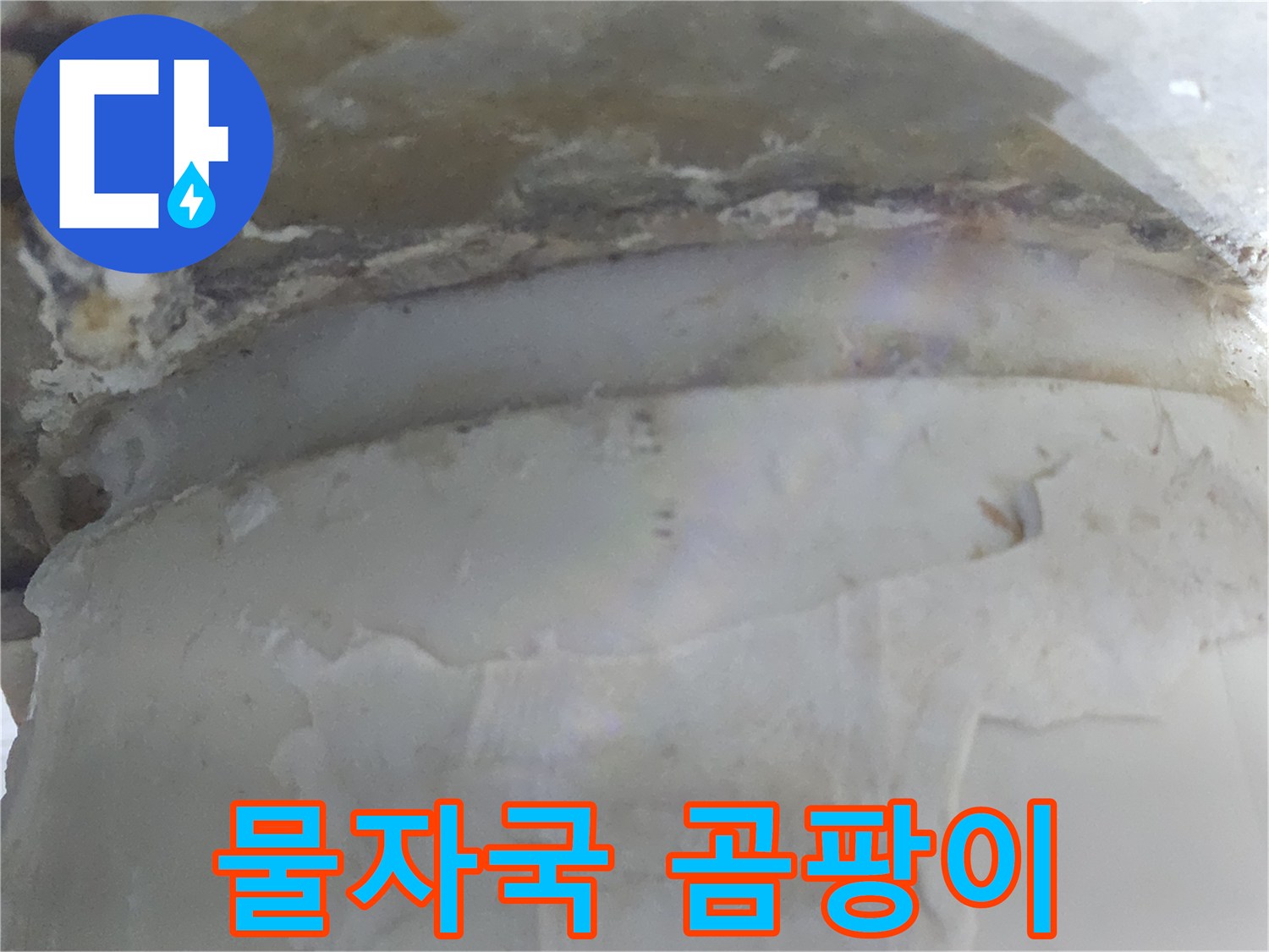 벽면에 물자국과 함께-곰팡이가 발생한-누수 현장 사진입니다