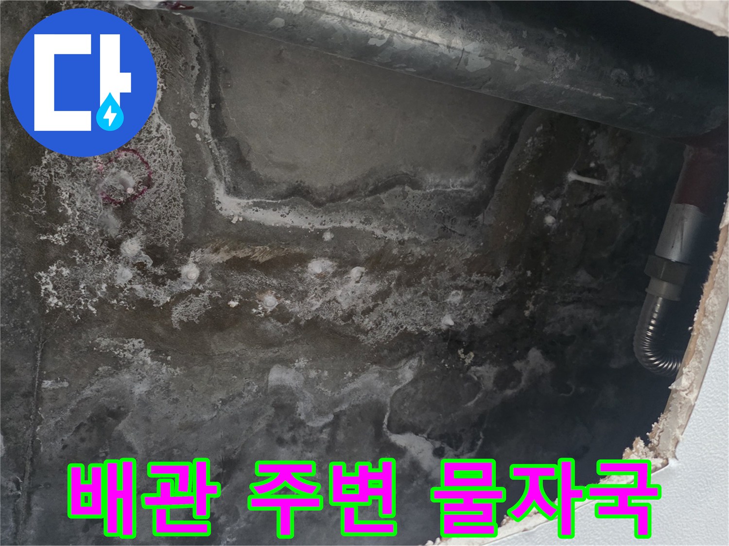 점검구 내부 - 습기가 가득한 배관 및 콘크리트 부위