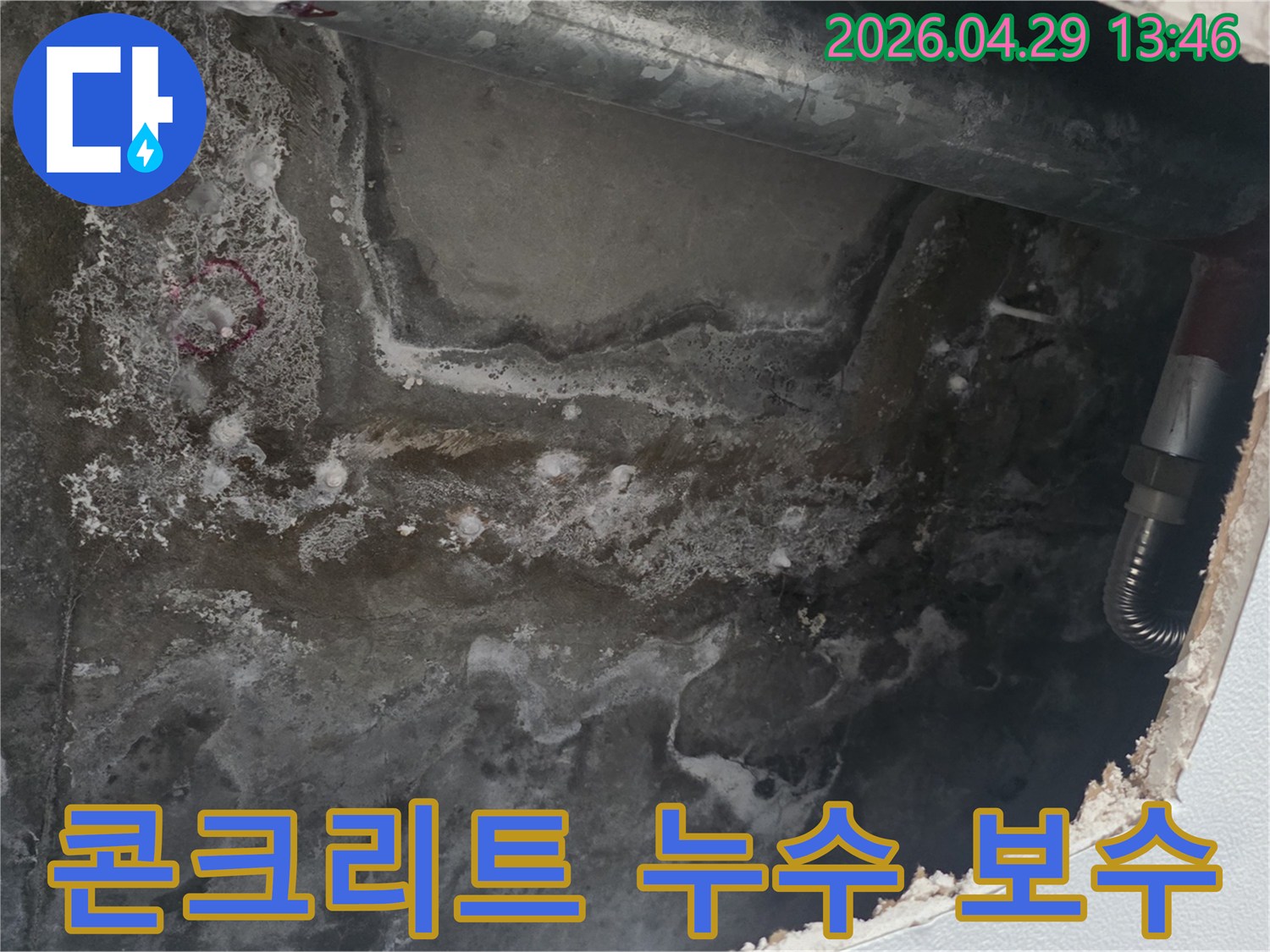 천장 콘크리트 표면에-누수로 인한 물자국과-손상된 모습이 담긴 사진입니다.