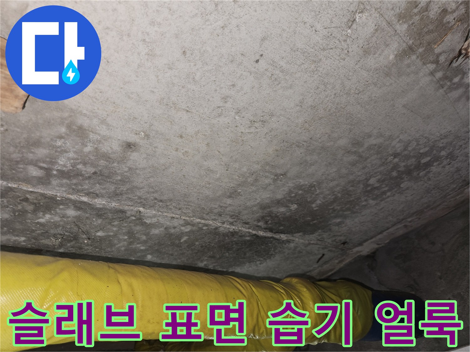 물샘 현상이 의심되는 콘크리트 슬래브의 변색 부위