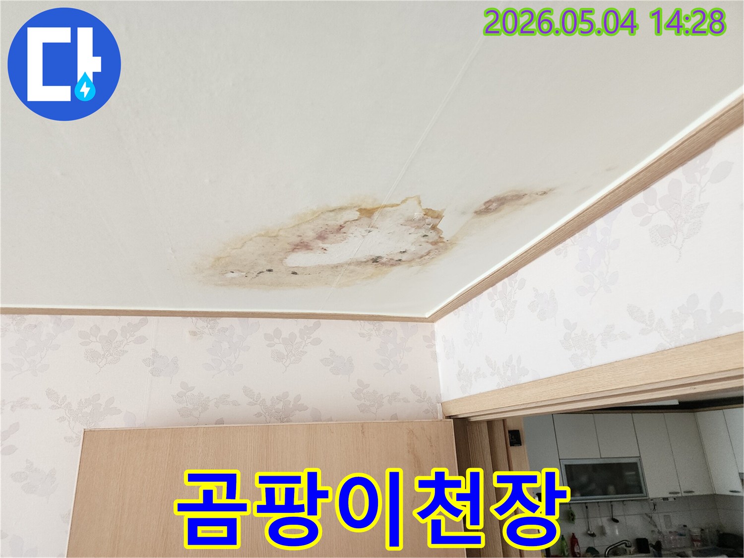 주택 천장에 물이 스며들어 발생한 누수 자국과 곰팡이-전문가의 정밀 진단이 시급합니다