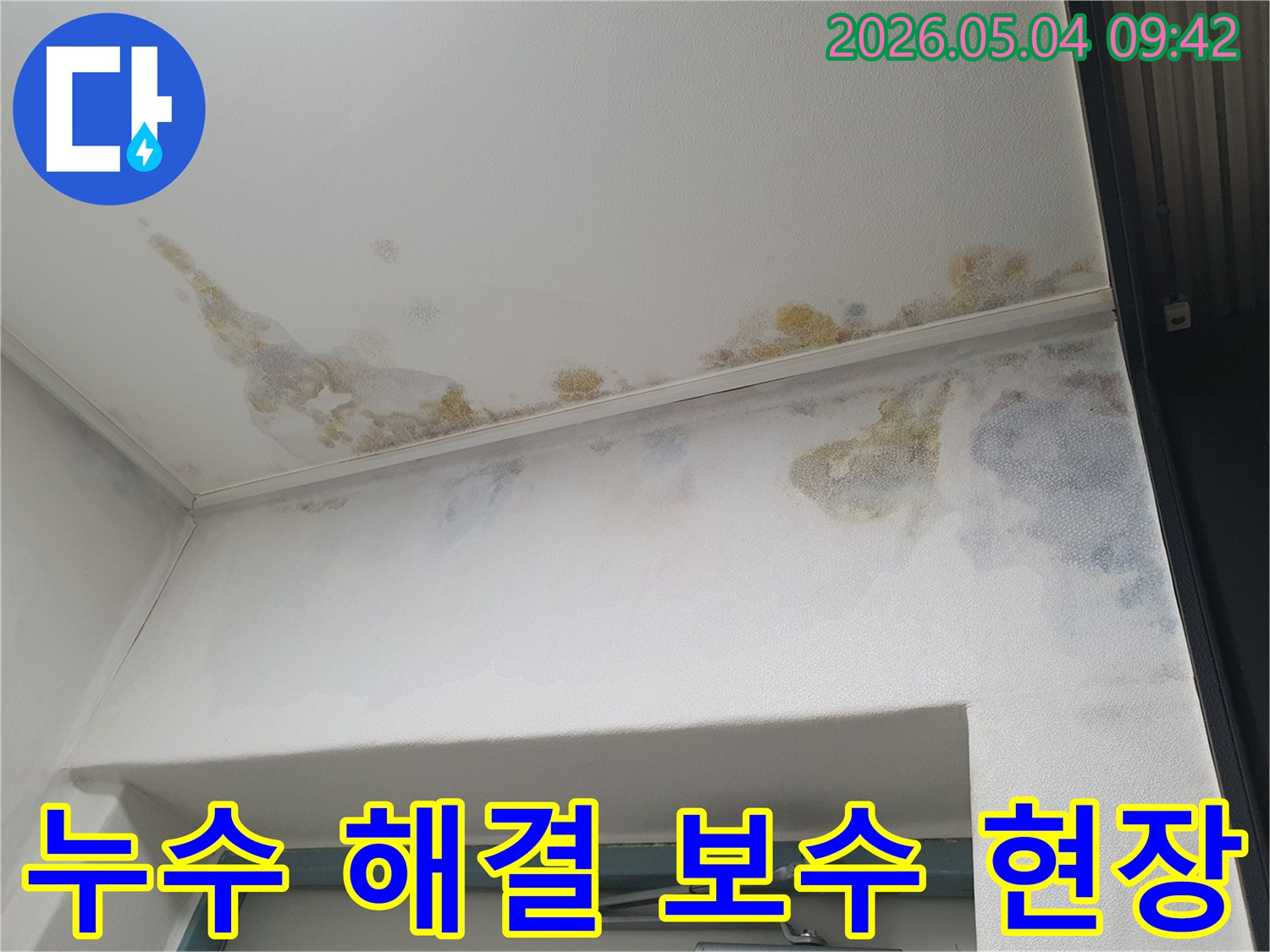 아파트-천장과-벽에-누수로-인한-곰팡이와-얼룩이-생겨-누수-해결과-보수가-필요한-현장