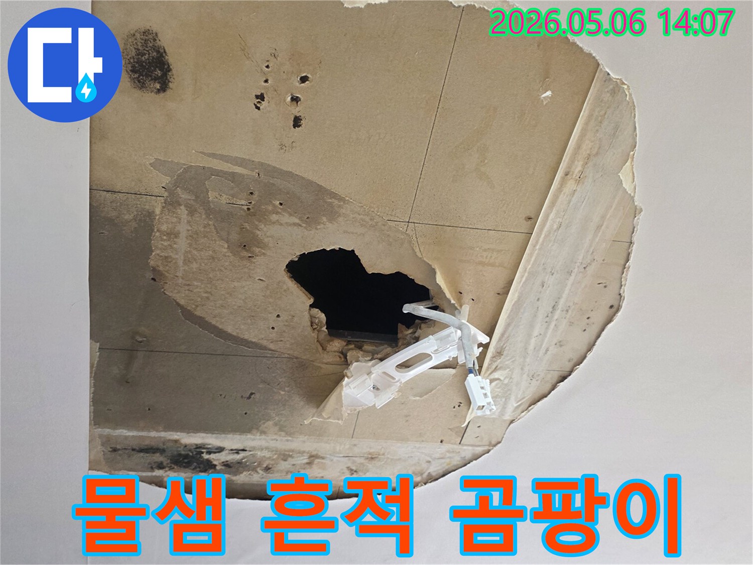 천장 마감재가 물에 젖어-파손되고-검은-곰팡이가-피어난-심각한-누수-현장
