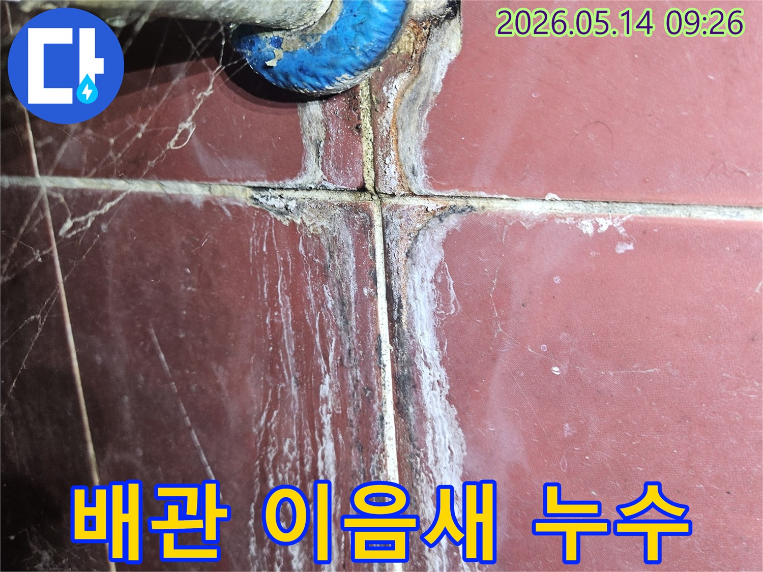 낡은 배관과 타일 틈새에서-발견된 누수의 증거-백화와 곰팡이가 광범위하게 퍼져있는 모습