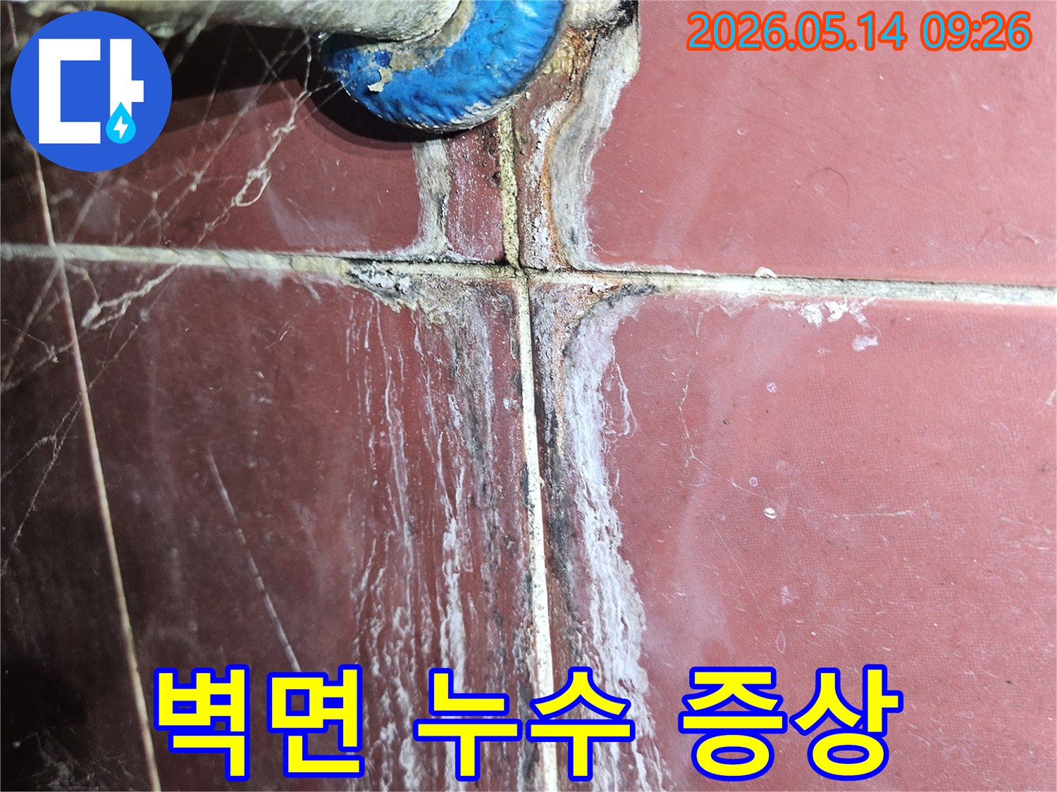 낡은 배관과 타일 틈새에서-발견된 누수의 증거-백화와 곰팡이가 광범위하게 퍼져있는 모습