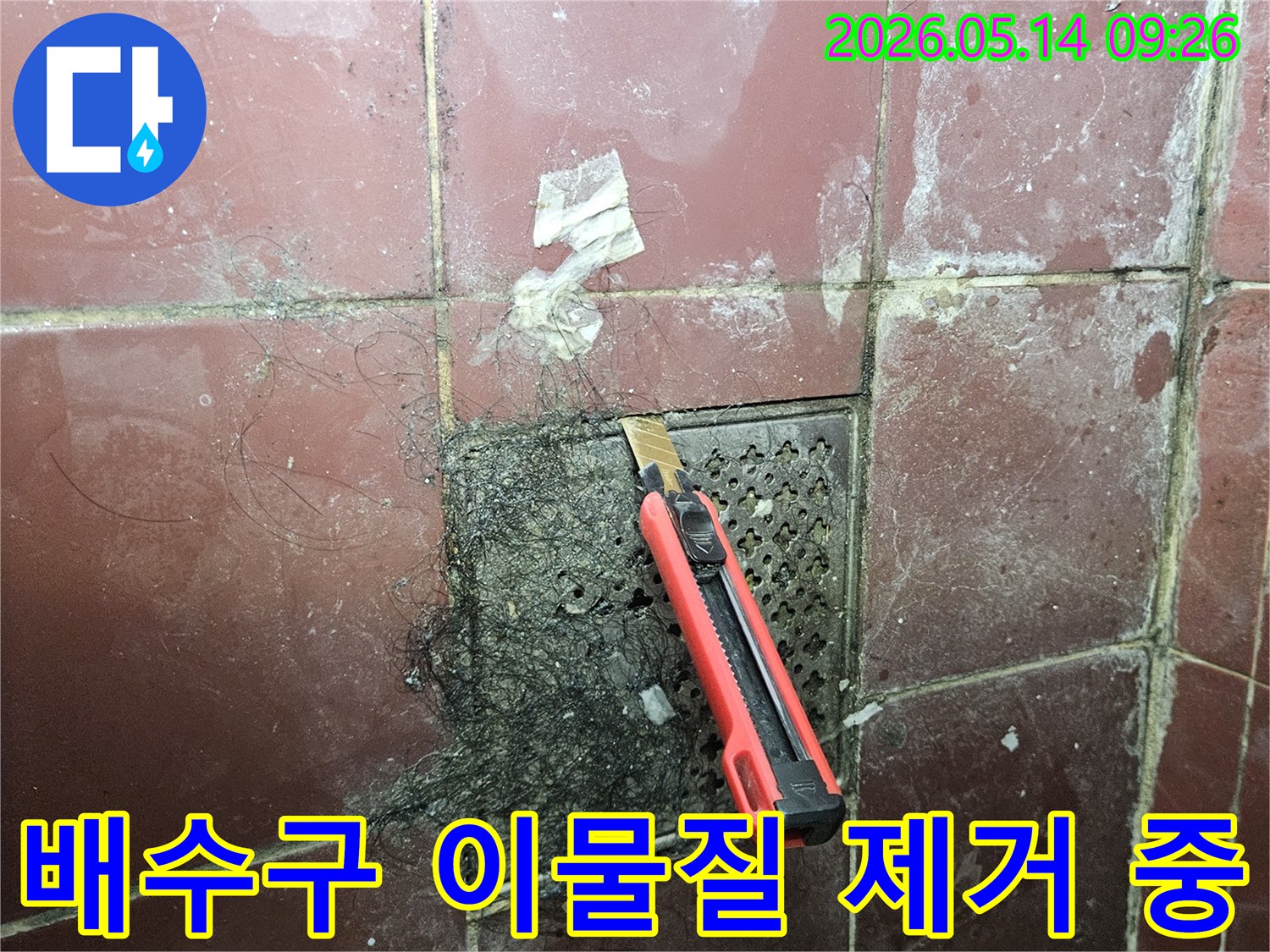 오래된 욕실 배수구에 엉킨 머리카락과 슬러지를 커터칼로 긁어내며 누수 원인을 찾는 초기 작업