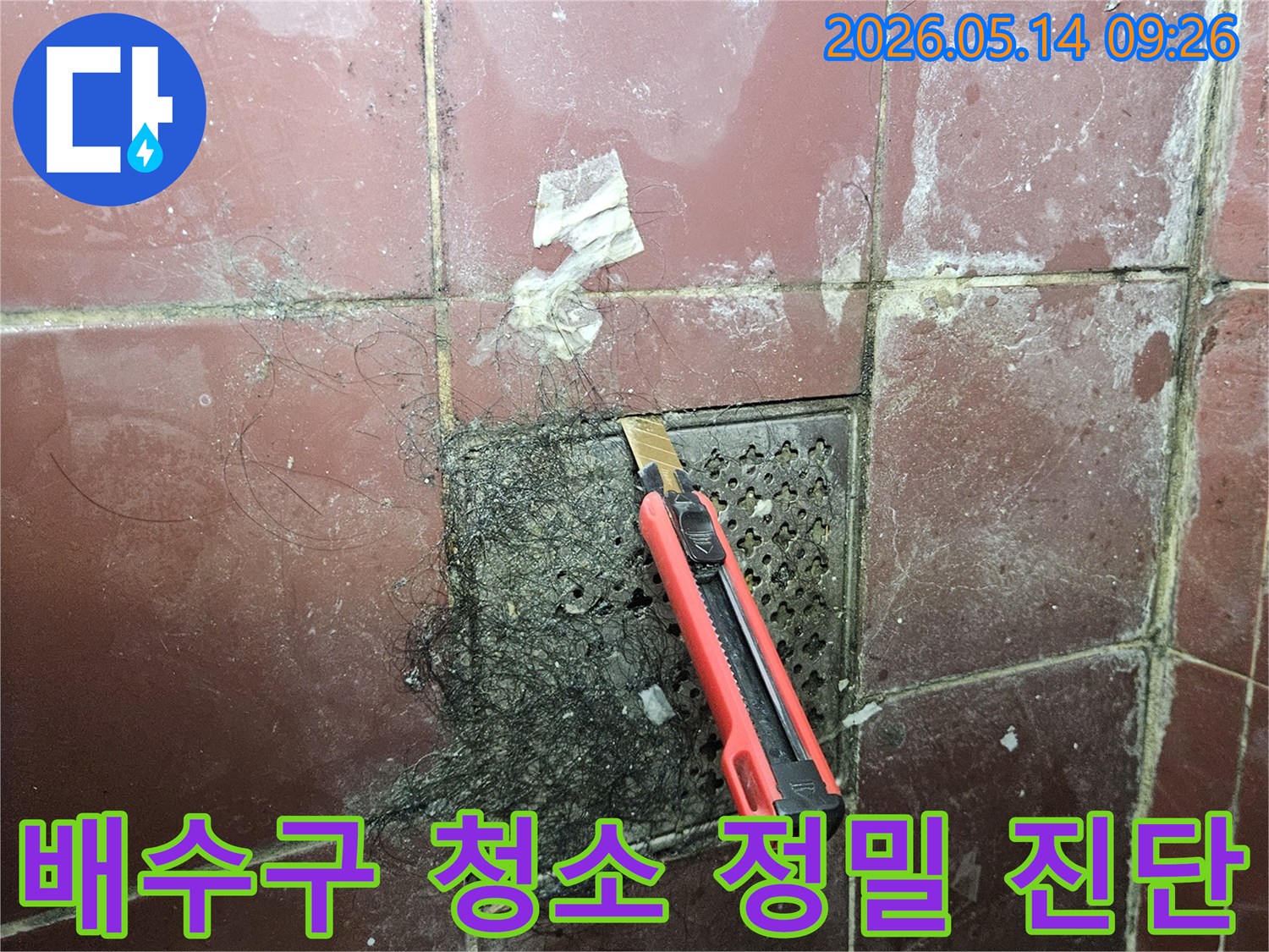 오래된 욕실 배수구에 엉킨 머리카락과 슬러지를 커터칼로 긁어내며 누수 탐지 정밀 진단을 시작하는 모습