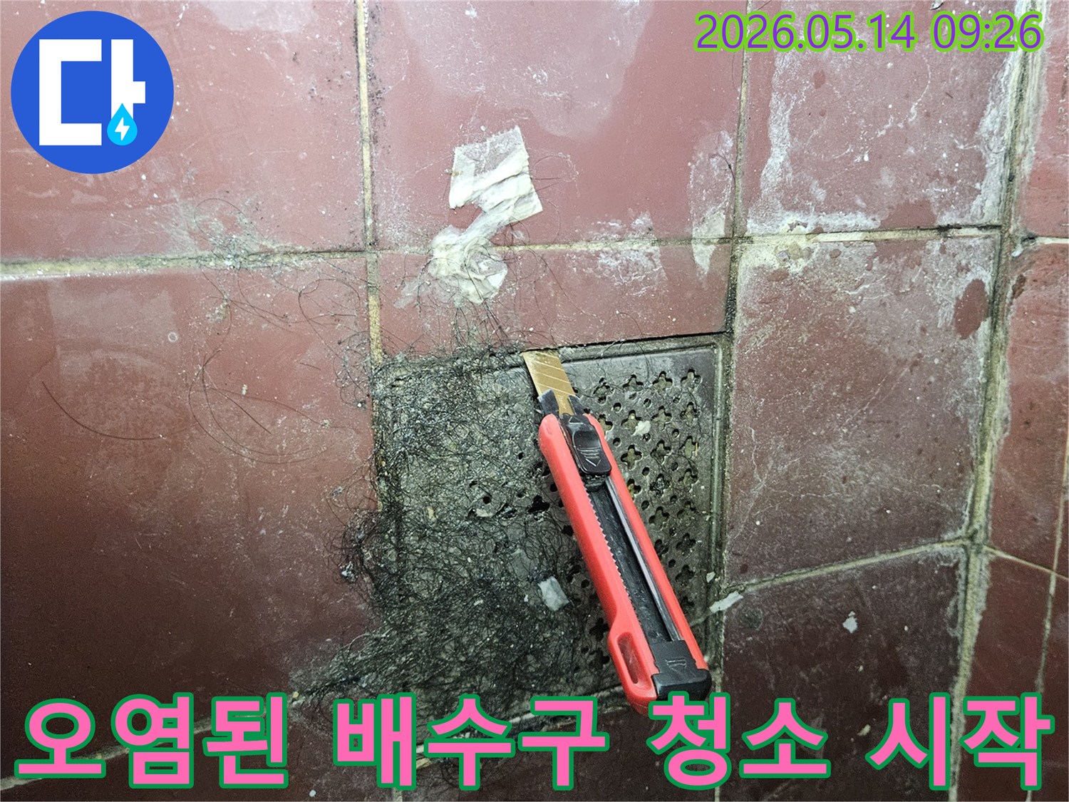 오래된 타일 바닥의 오염된 욕실 배수구에서 머리카락과 슬러지를 커터칼로 긁어내는 초기 작업