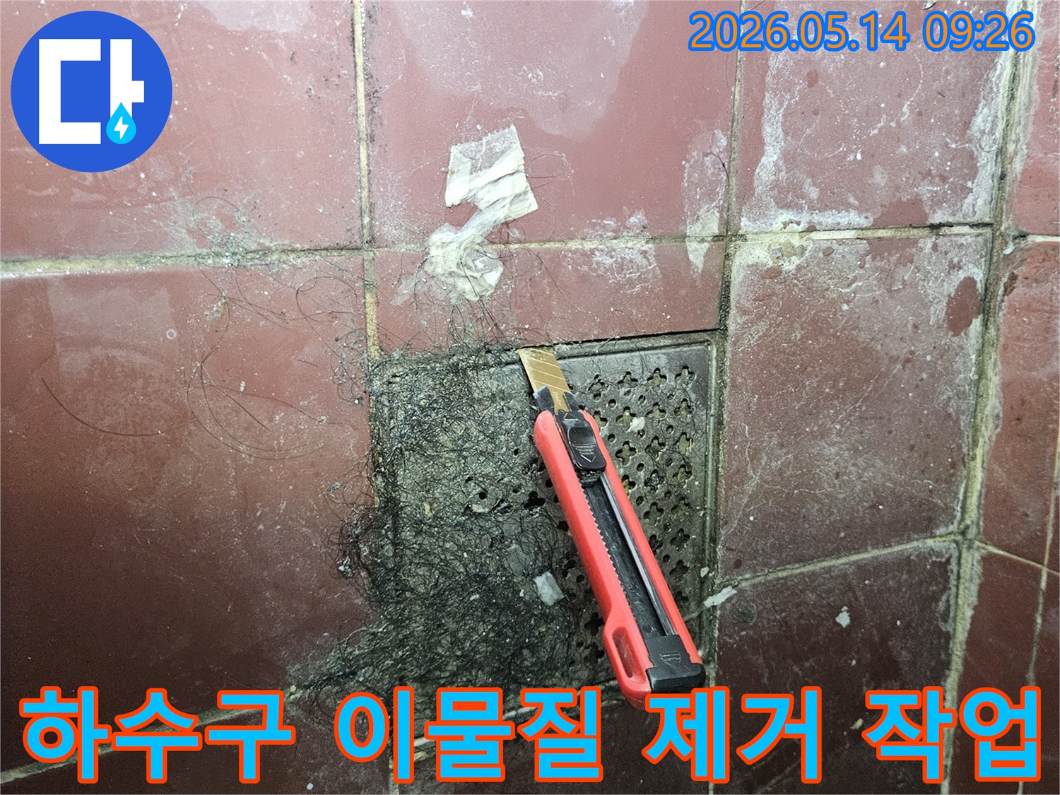 지저분한 욕실 바닥 배수구에 엉킨 머리카락과 슬러지를 커터칼로 긁어내는 작업-누수 가능성 확인
