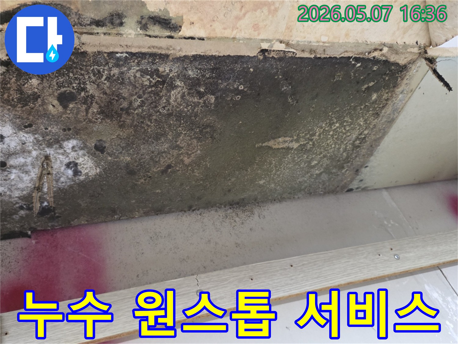 천장-누수로-인한-곰팡이-발생-현장-누수탐지부터-사후-관리까지-원스톱-서비스