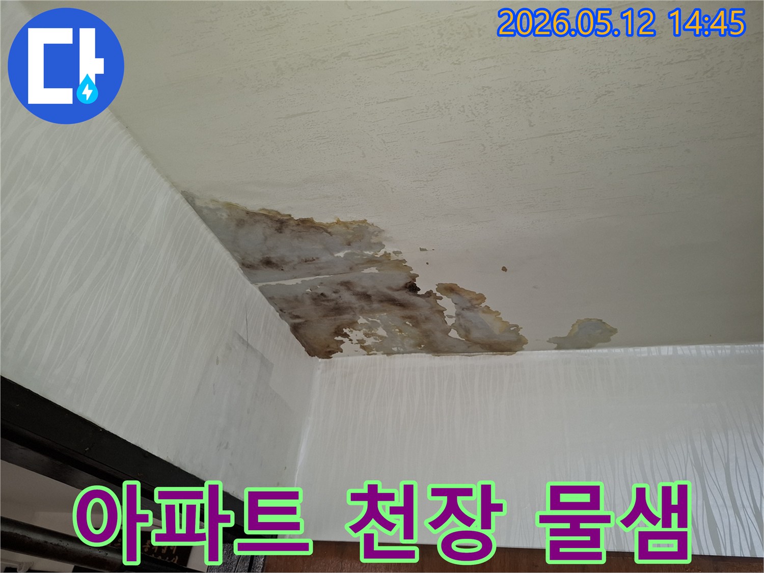 천장 누수가-오래 진행되어-벽지 탈락과-곰팡이가-동반된-주택 내부의-손상된-부분을-보여줍니다