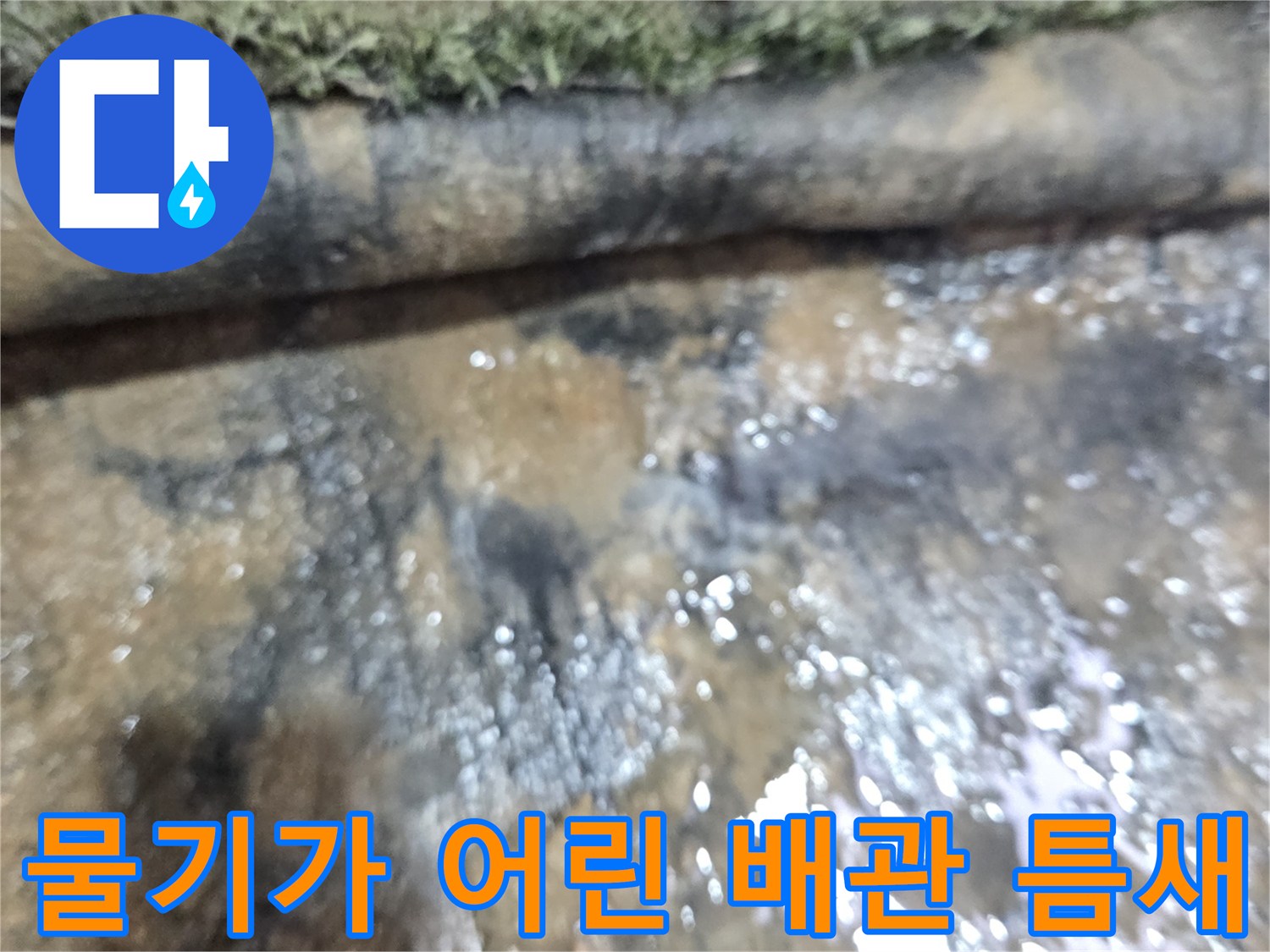 배관 사이 물고임 현상-하수구 누수 정밀 진단