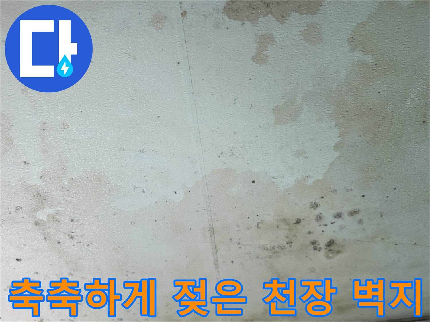 누수로 인해 변색되고 곰팡이가 생긴 빌라 내부 천장