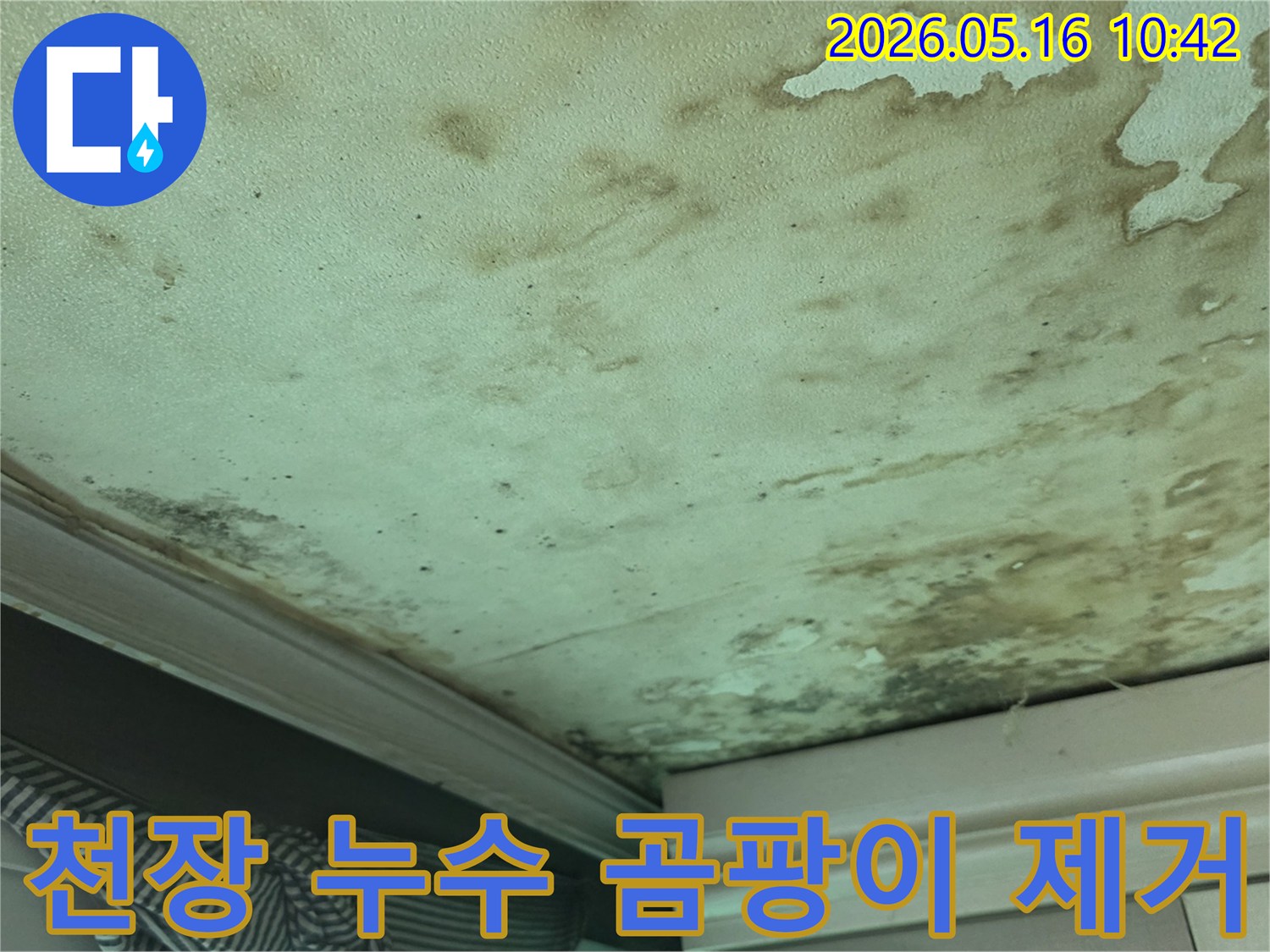 누수로-인해-천장에-발생한-물자국과-곰팡이를-제거하기-위한-진단-현장입니다