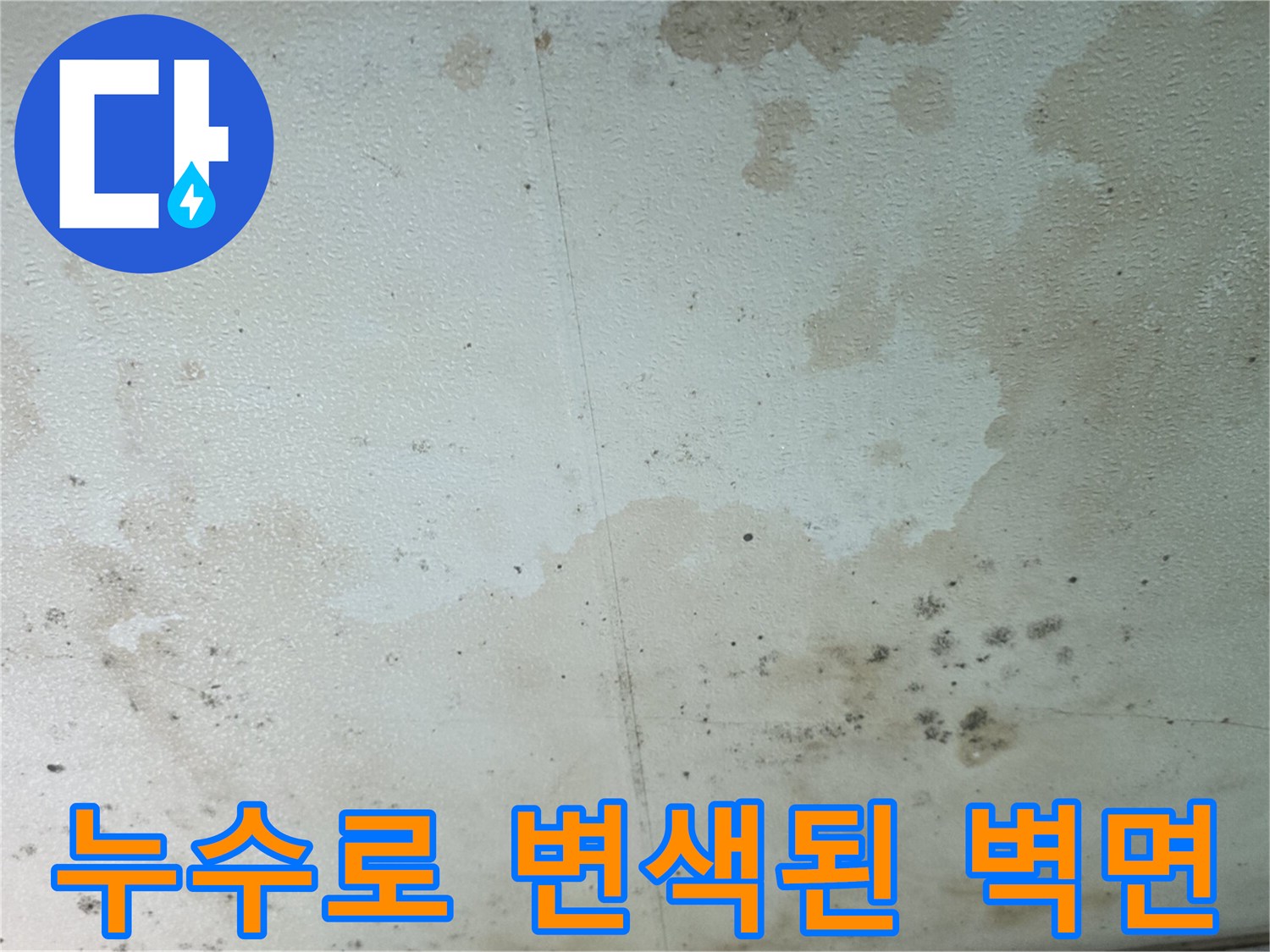 물이 스며들어 변색되고 곰팡이가 생긴 천장 부위