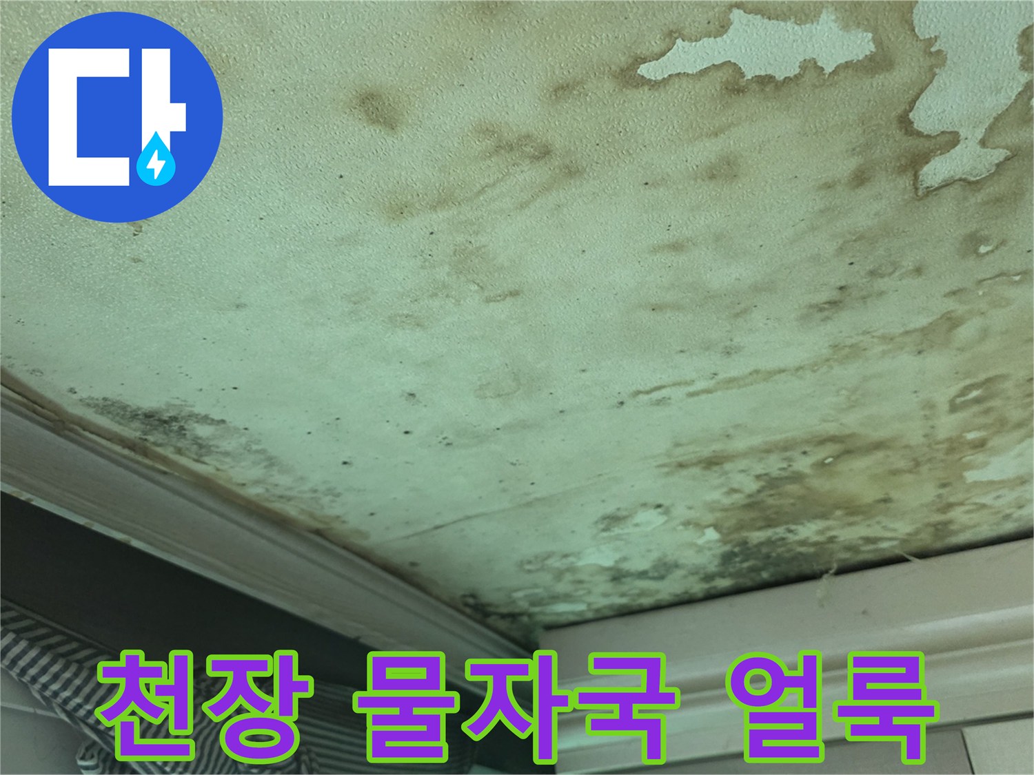 천장 마감 부위의 심한 변색과 곰<0xAE>팡이 발생 현황