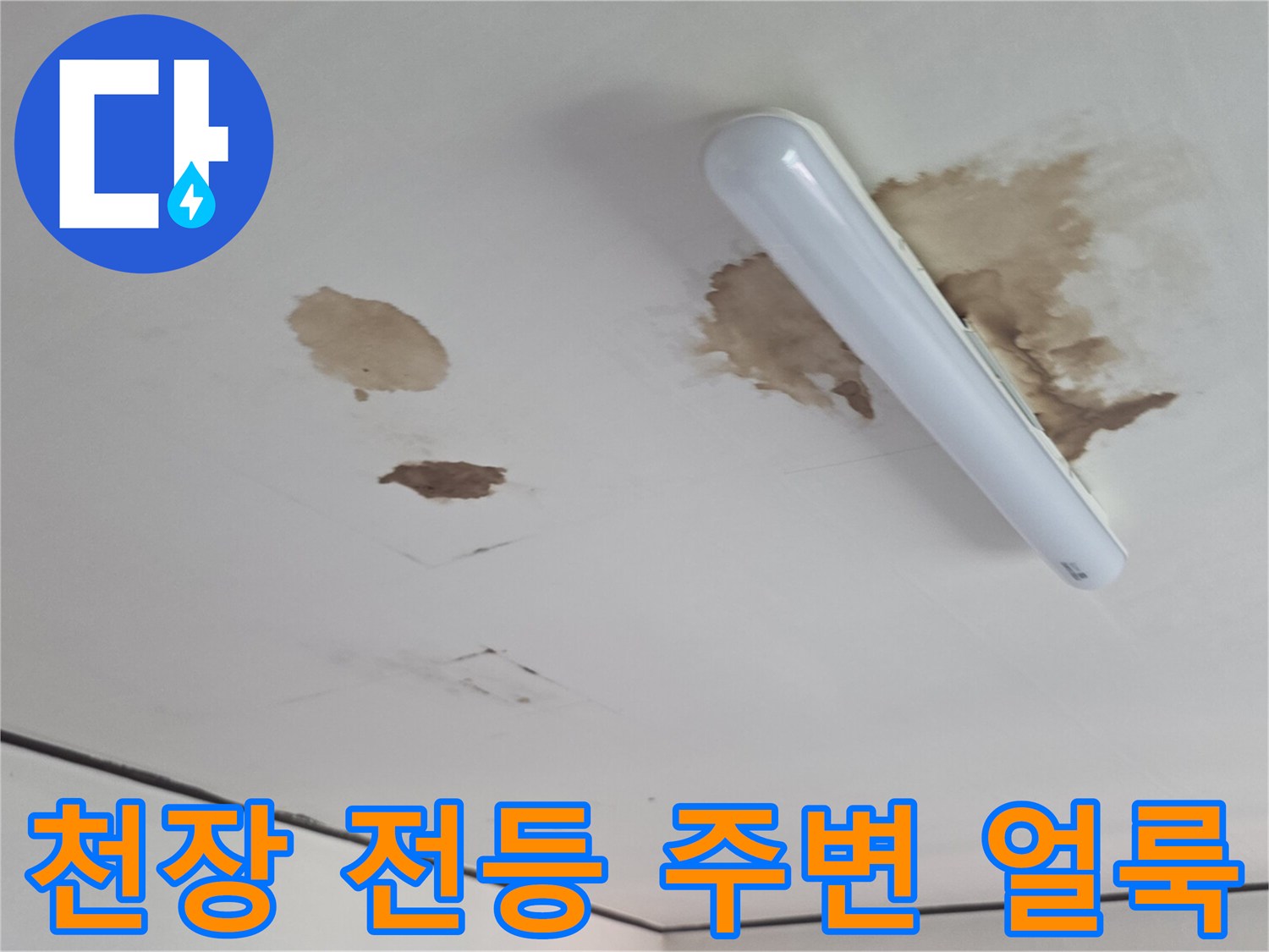 천장 조명 옆으로 번진 누수 흔적과 변색 부위