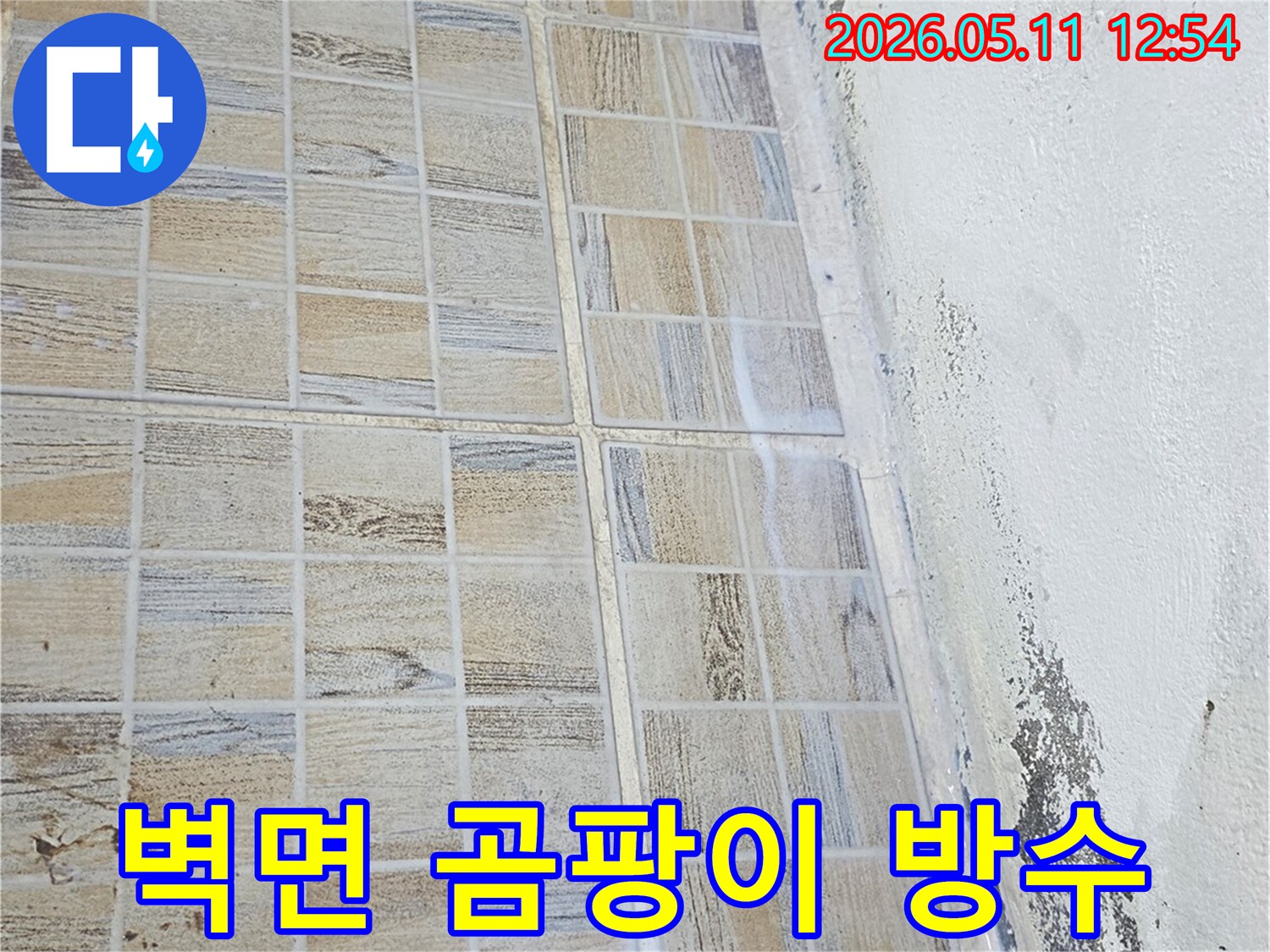 누수로-인해-타일-벽면에-곰팡이가-생기고-천장이-손상된-모습을-보여주는-이미지