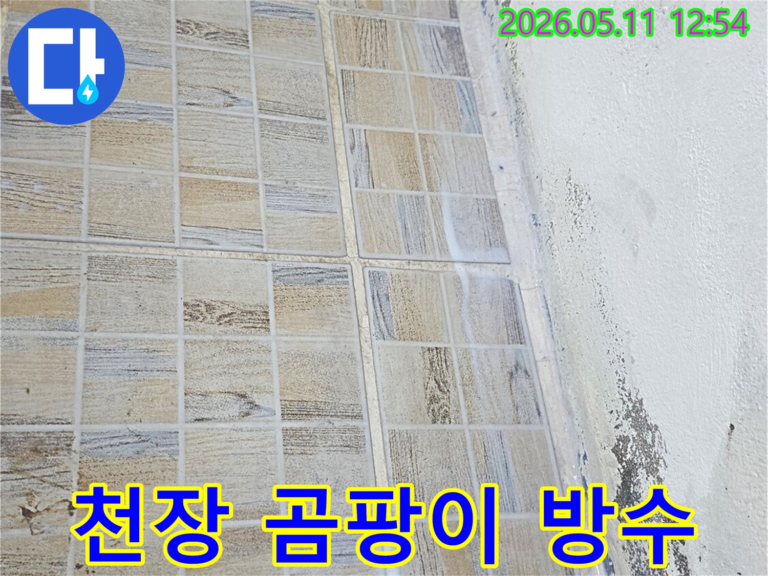 욕실-천장과-타일-벽면-경계에-발생한-곰팡이와-누수-흔적을-보여주는-사진