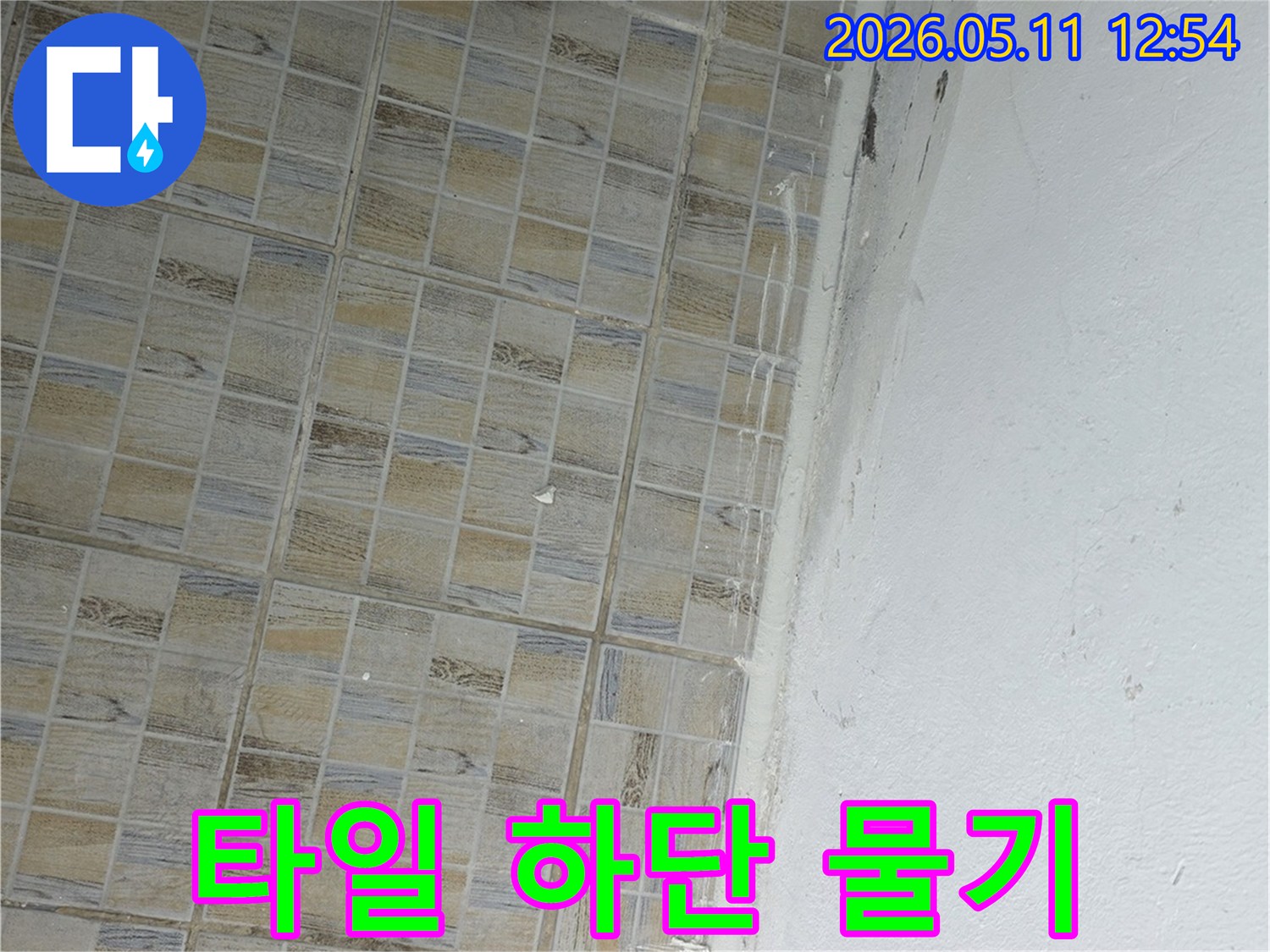 이 이미지는-서울 양천구 신안파크아파트의-타일-하단부에서-발생한-누수로-인한-물기와-곰팡이를-보여줍니다.
