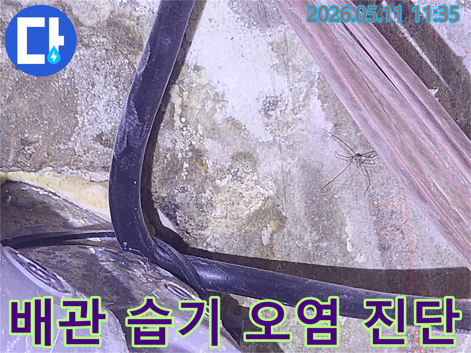 누수-탐지를-위해-배관-주변의-습기와-오염-상태를-진단하는-현장-사진