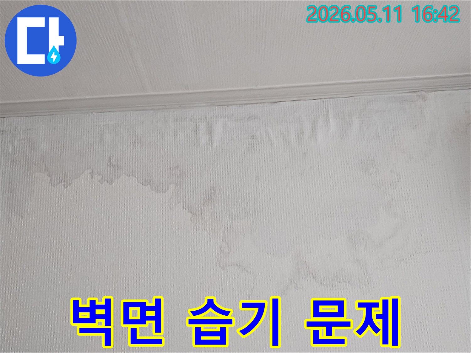 물이 새어 벽지가 젖고 곰팡이가 생길 수 있는 환경입니다-건강과 건물의 안전을 위해 빠른 조치가 필요합니다