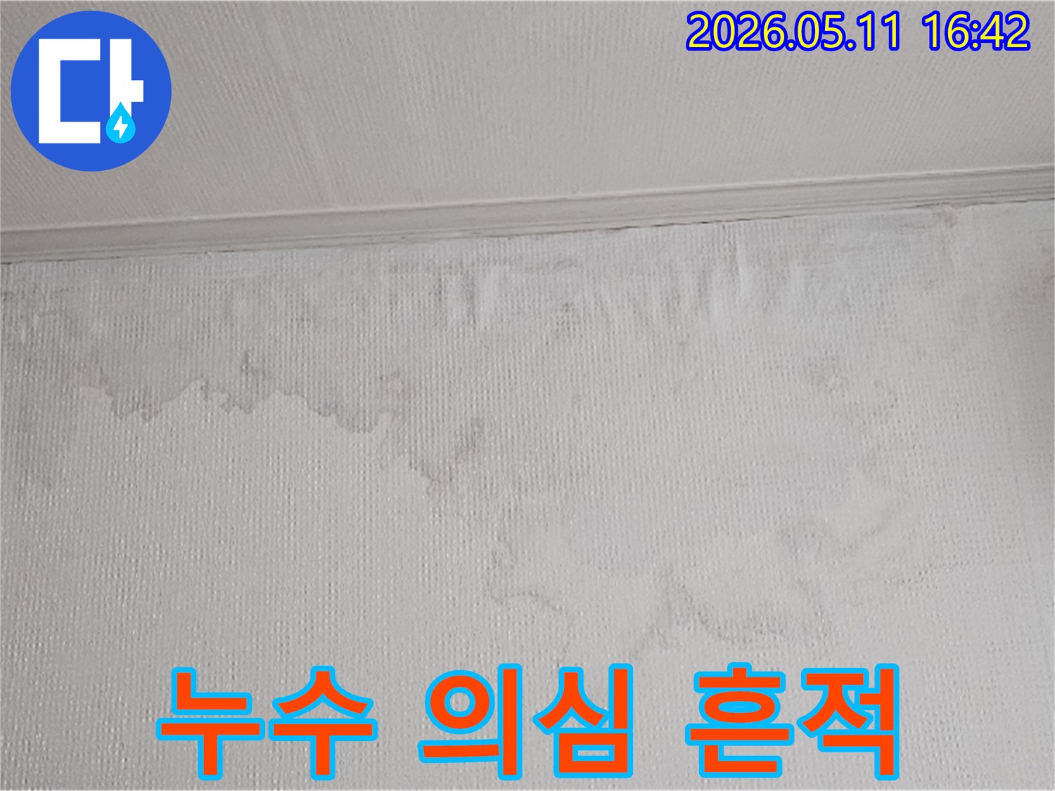 벽면에 나타난 물 얼룩과 벽지 손상은 누수의 명확한 증거입니다-전문 장비를 이용한 정밀 탐지가 필수입니다