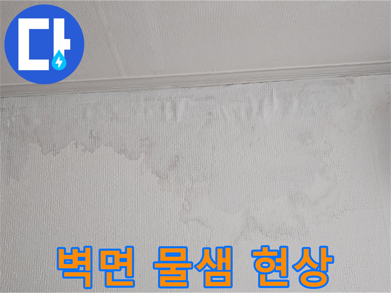 벽면에 넓게 퍼진 물자국은 누수가 진행되고 있음을 명확히 보여줍니다-전문적인 진단으로 해결해야 합니다