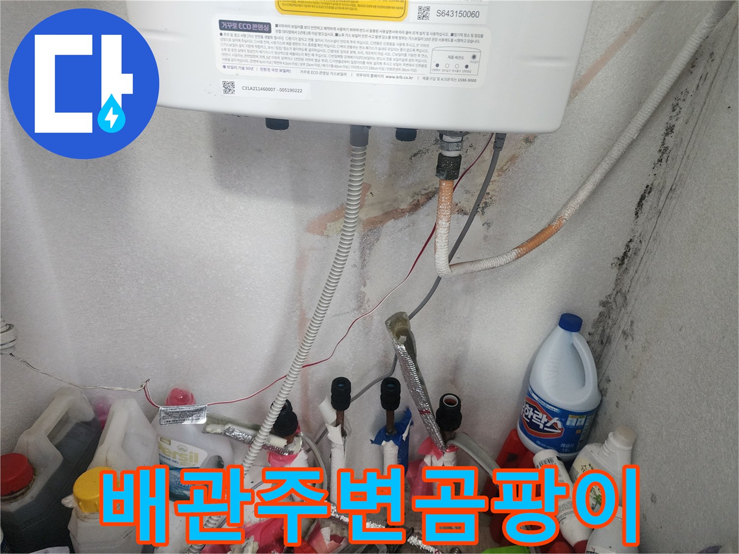 보일러 배관 주변에서 발견된-누수로 인한 곰팡이와 습기 문제를 진단하는 모습