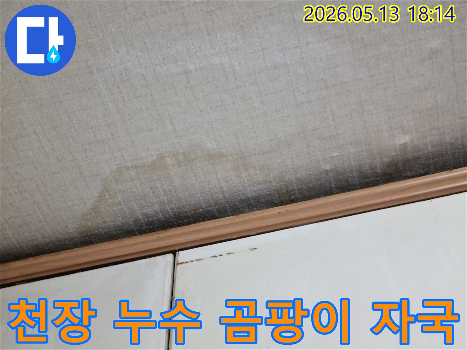 이 사진은-천장에 발생한-누수로 인한-물 자국과-곰팡이의-심각한 상태를-보여주고 있습니다
