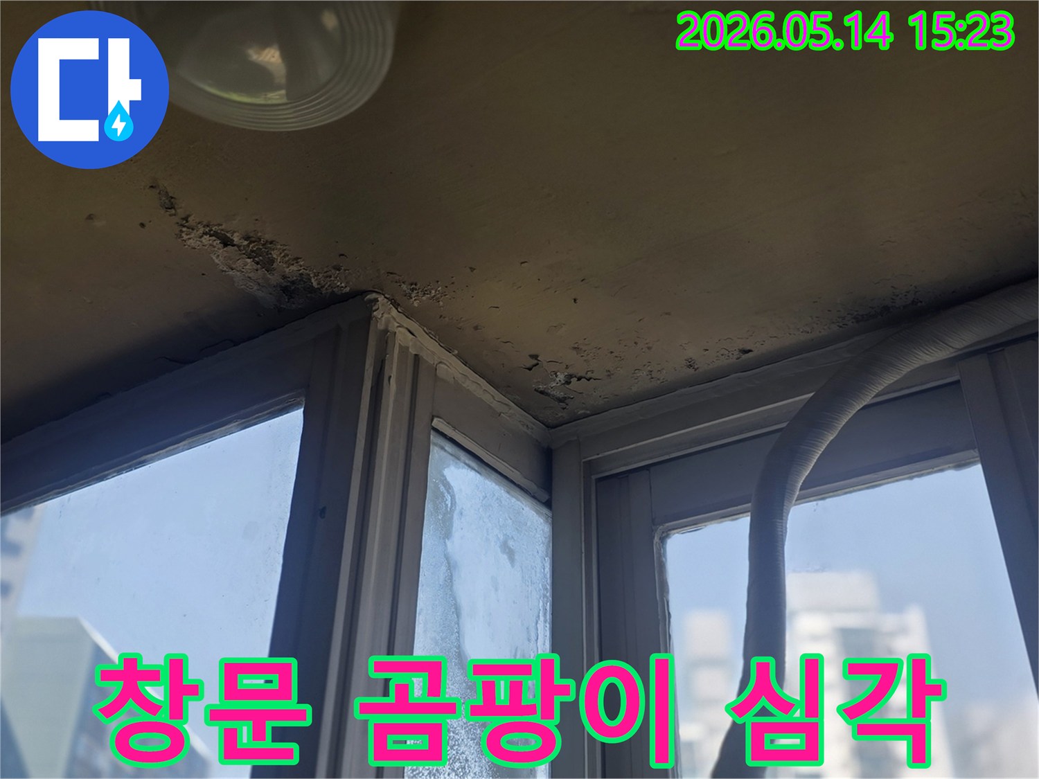 창문 주변 벽면과 천장에 광범위하게 퍼진 곰팡이로- 오염된 상태를 보여주는 이미지입니다