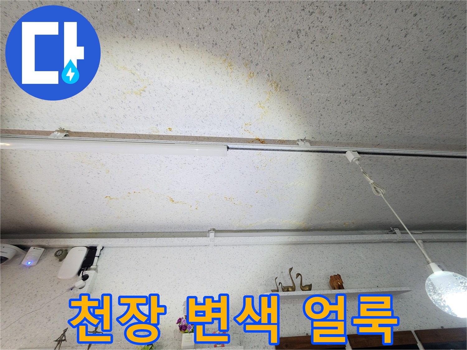 누수로-인해-얼룩진-상가-천장-텍스