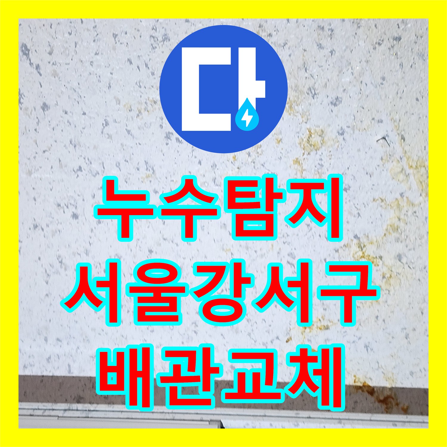 누수탐지 온수 배관 결함으로 상가 천장 물샘 현상을 잡은 서울 강서구 사례