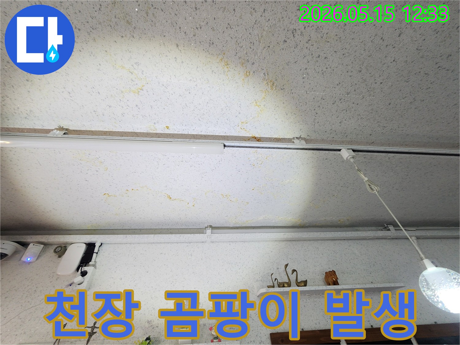 생활-공간-천장에-나타난-물샘-흔적을-전문가가-점검하는-사진입니다.