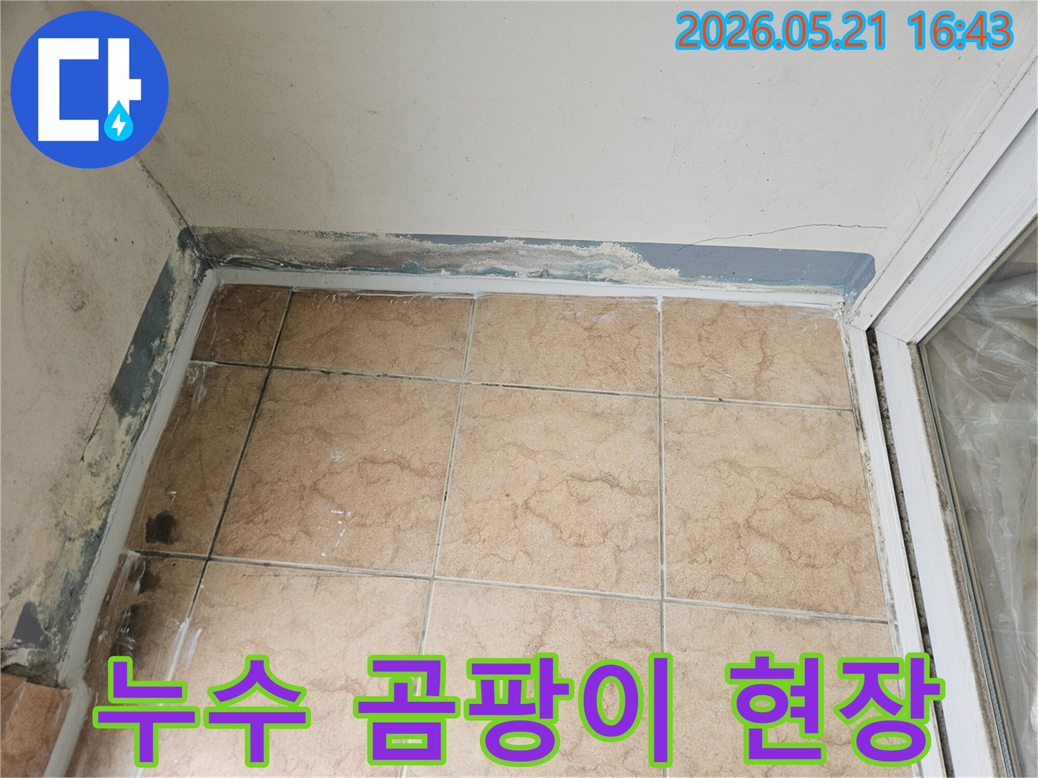 누수 문제로 인해 벽 하단에 곰팡이가 발생한 아파트 내부의 한 구석을 촬영한 사진