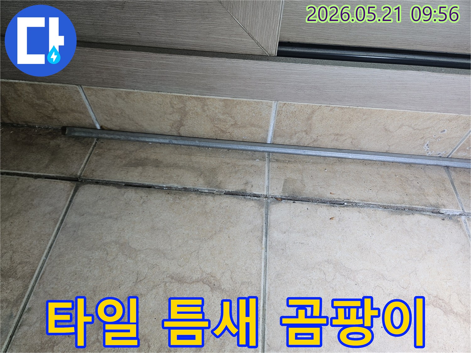 바닥-타일-틈새에-생긴-검은색-곰팡이를-보여주며-누수-가능성을-시사하는-현장-사진