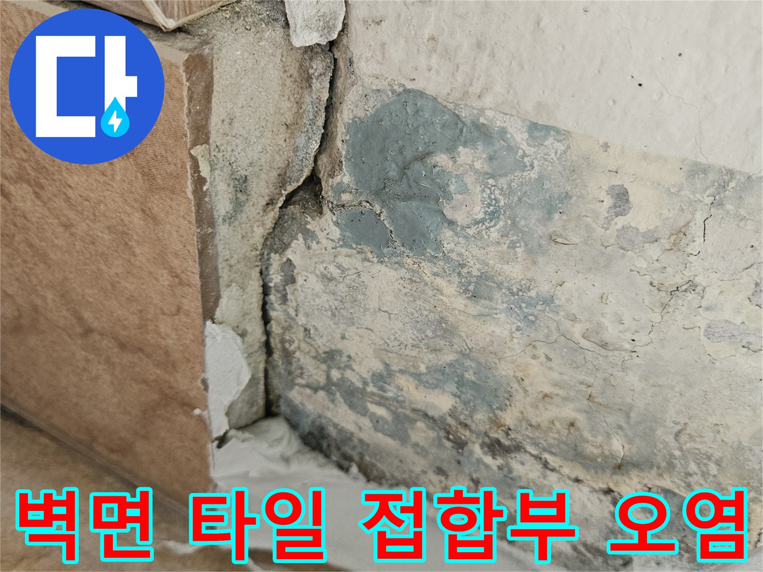 습기로-오염된-벽체와-타일의-경계선