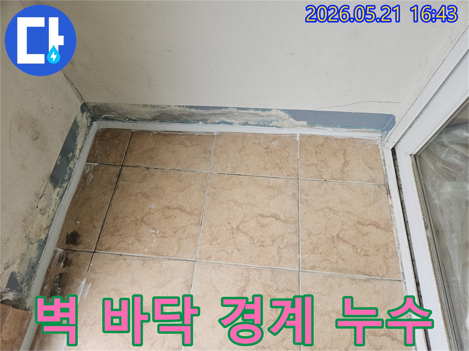 아파트 벽과 바닥 경계면에서 발생한 누수 흔적과 곰팡이를 보여주는 현장 사진