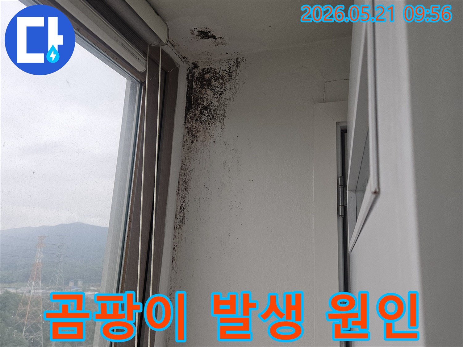 창문 모서리 벽면에 검게 피어난-곰팡이-습기-누수-흔적을 상세히 보여주는 클로즈업 이미지