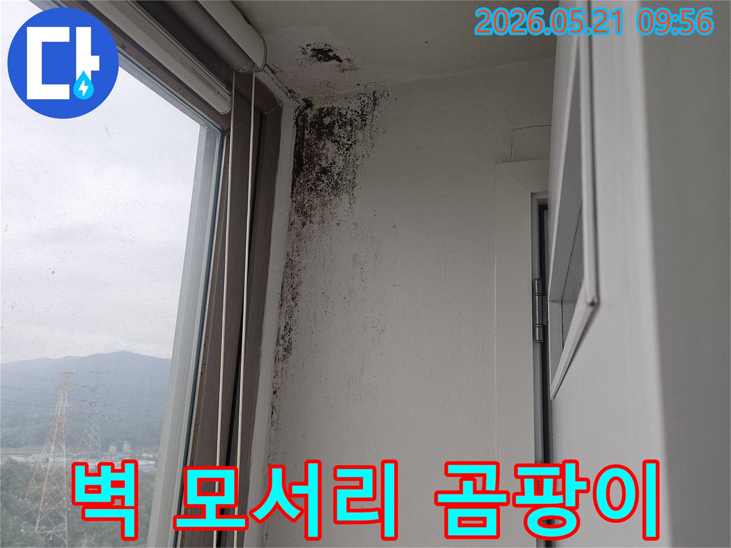 창문 상단 벽과 천장 모서리에 광범위하게 퍼진-검은 곰팡이-습기-오염-현장 사진