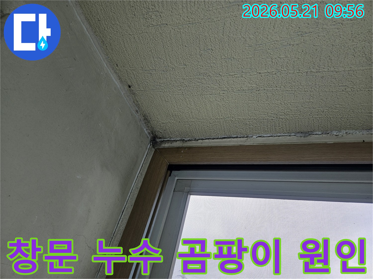 창문 주변 벽면에 발생한-곰팡이와-물기로 인한 손상을 보여주는-아파트 내부 벽의 모습