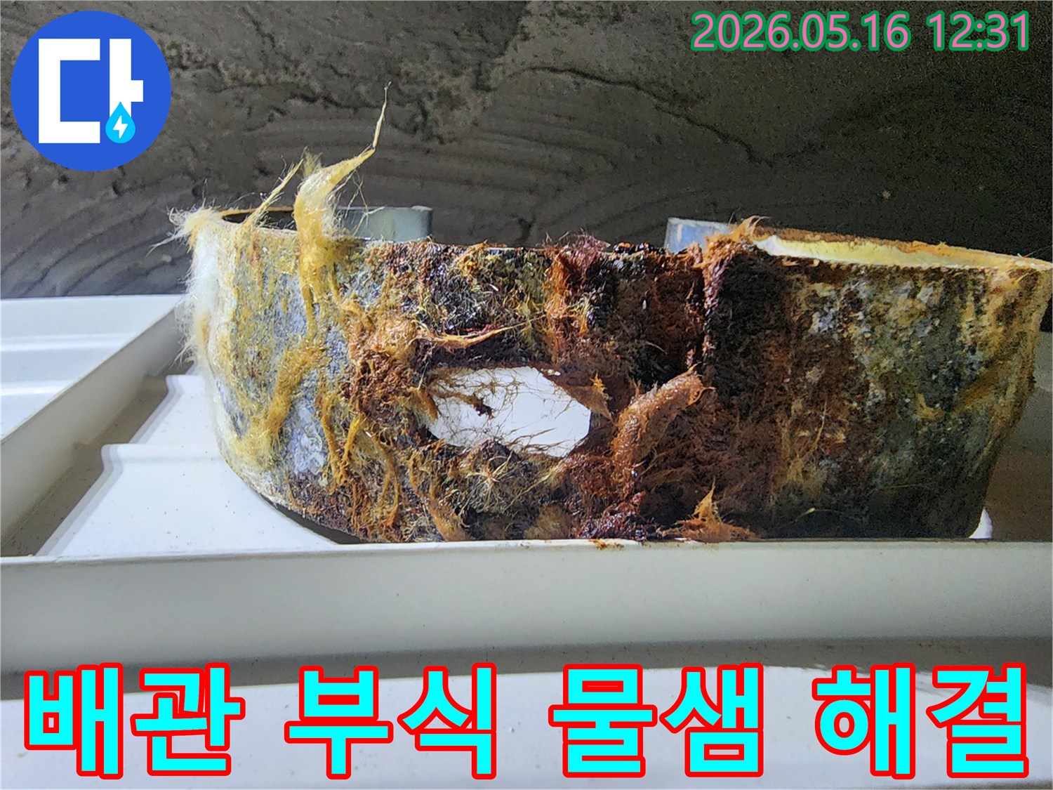 오랜 사용으로 부식된 배관에서 물이 새는 현상-전문가의 해결로 안전하게 복구되었습니다