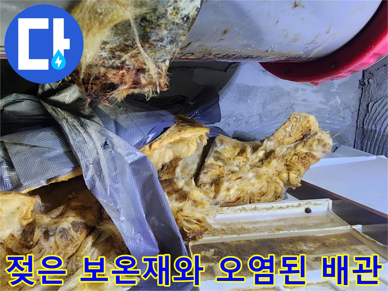오수관-주변의-젖은-보온재와-오염된-상태를-보이는-현장