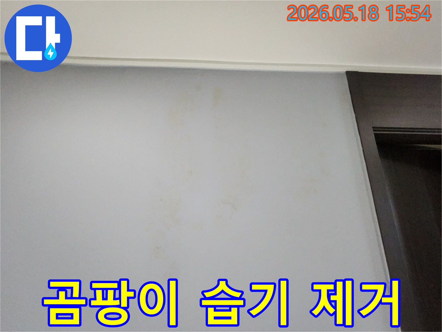 벽면에-피어난-곰팡이와-습기를-제거하여-건강한-주거 환경을-만들기 위한-사진입니다.