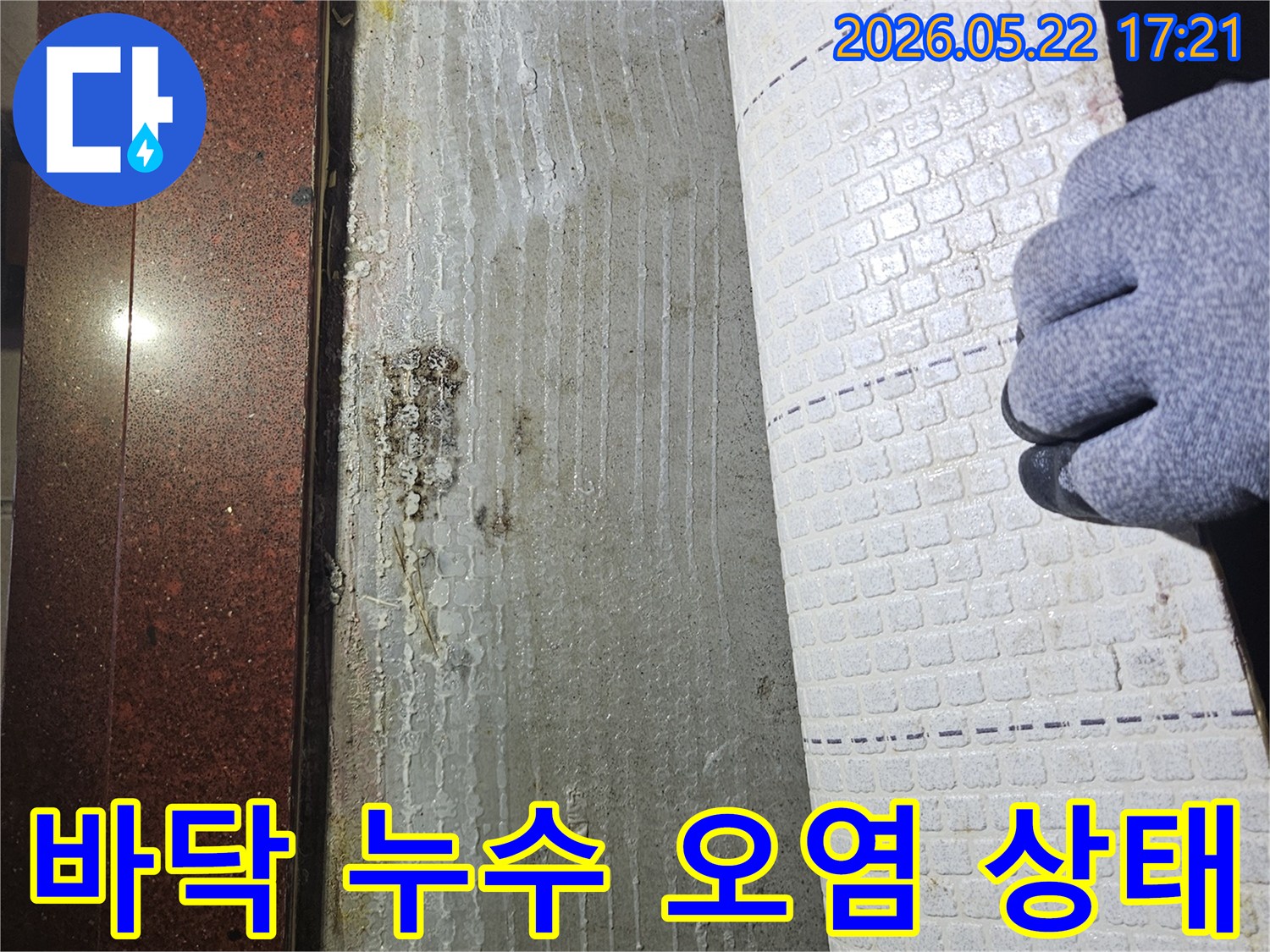 누수-탐지-전문가가-장판을-걷어내고-발견한-바닥의-젖은-부분과-곰팡이-오염-상태입니다