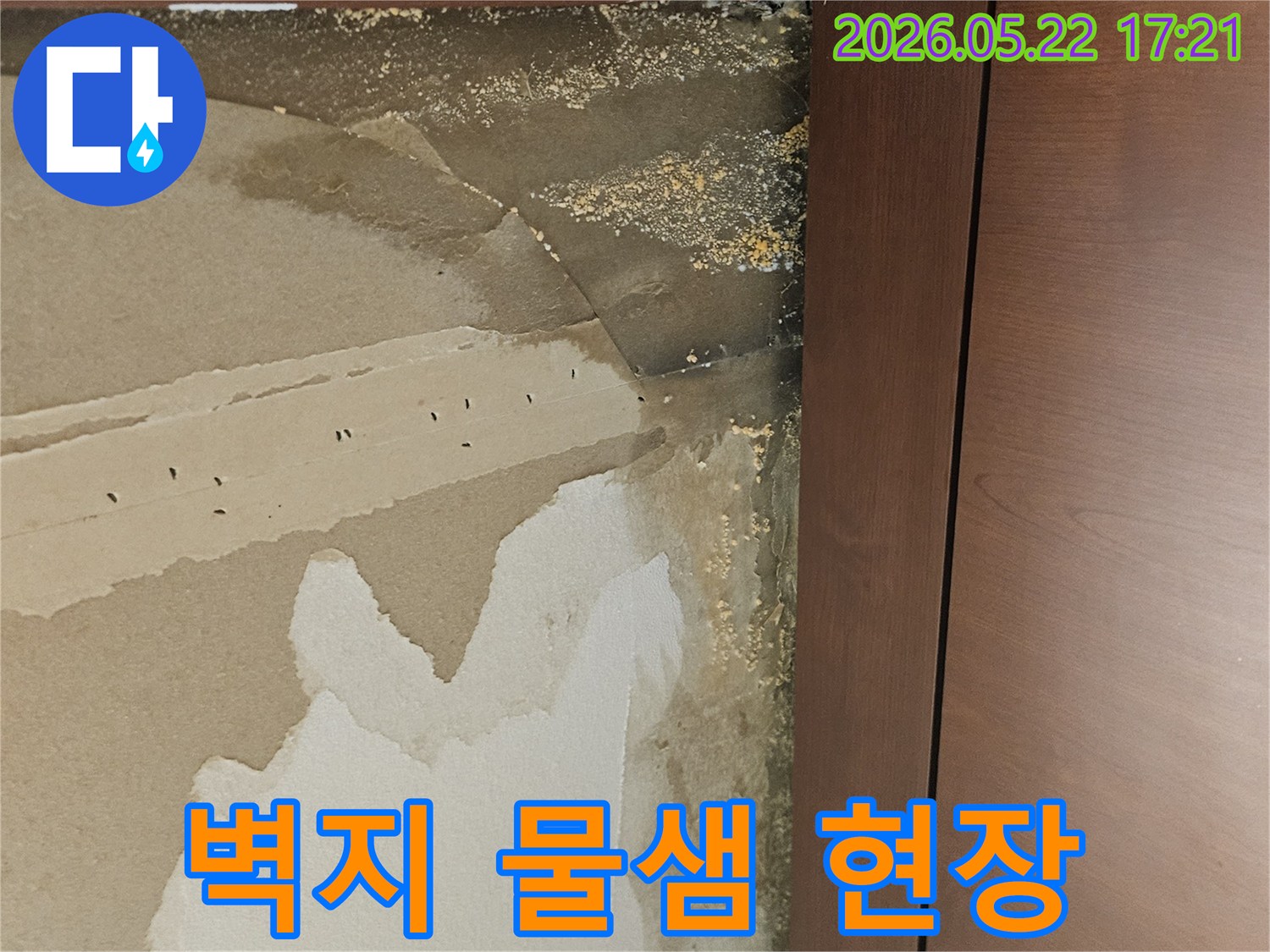 벽지가 물에 젖어-변색되고 들뜨며-벽면 손상이 심각한-누수 현장 사진